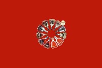 漳州市龙文区回收红酒